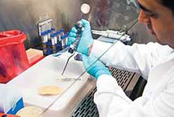 Beating bacteria